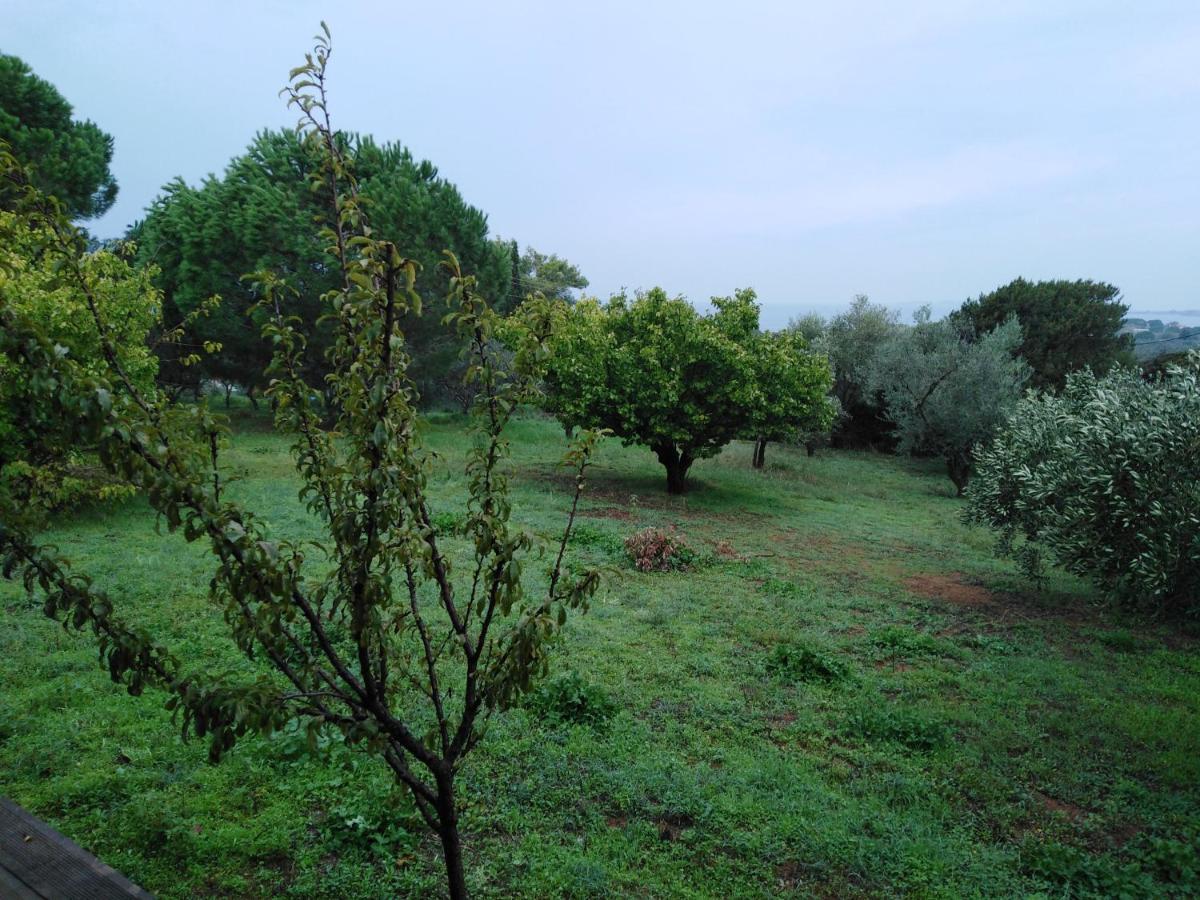 Villa Aliki Petrochori  Dış mekan fotoğraf