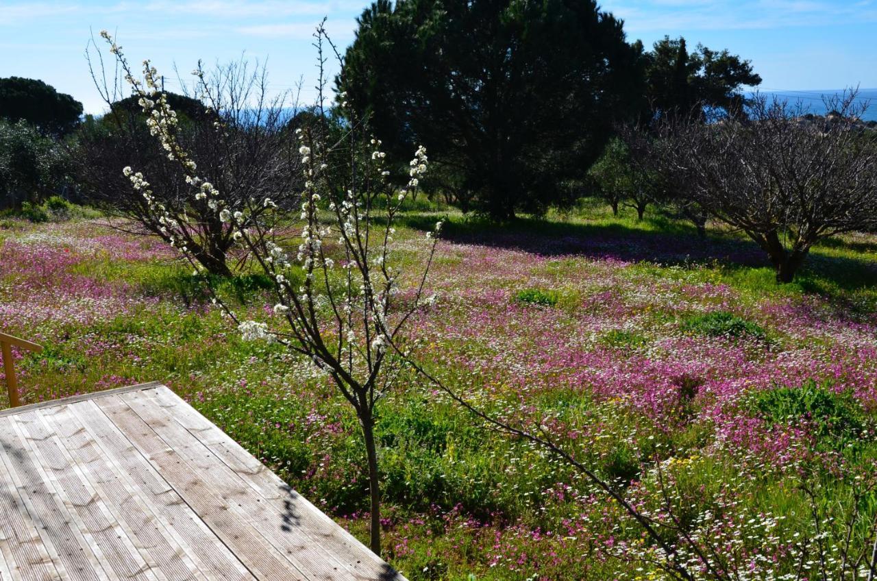 Villa Aliki Petrochori  Dış mekan fotoğraf